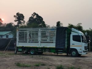 จตุรทิศขนส่ง.com บริการรถรับจ้าง ขนย้ายของทุกชนิด ทั่วไทย ราคาถูก 141