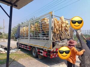จตุรทิศขนส่ง.com บริการรถรับจ้าง ขนย้ายของทุกชนิด ทั่วไทย ราคาถูก 17